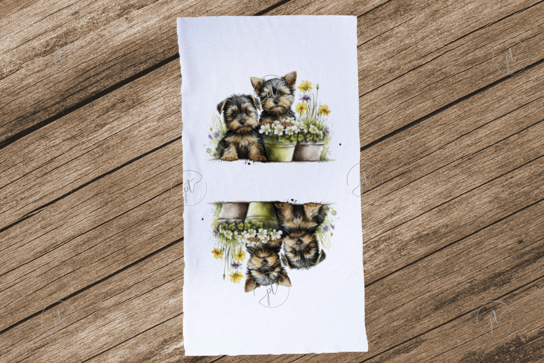 2-1-463-yorkie-mintas-pluss-velur-panel-felpanel